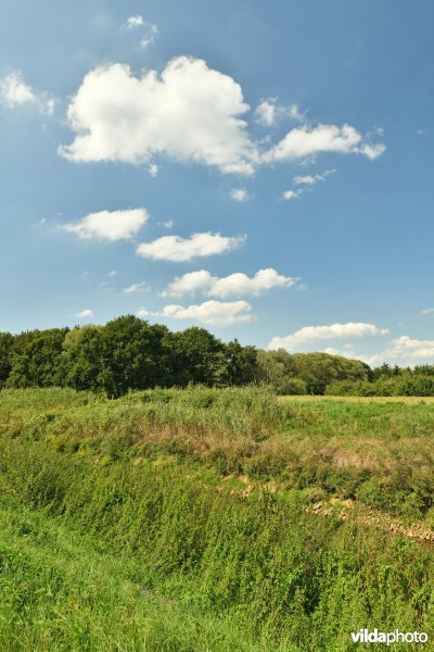 Demerdijk - Zuid