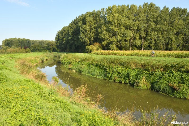 Demer aan de Vinkenberg