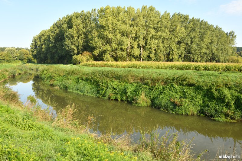 Demer aan de Vinkenberg