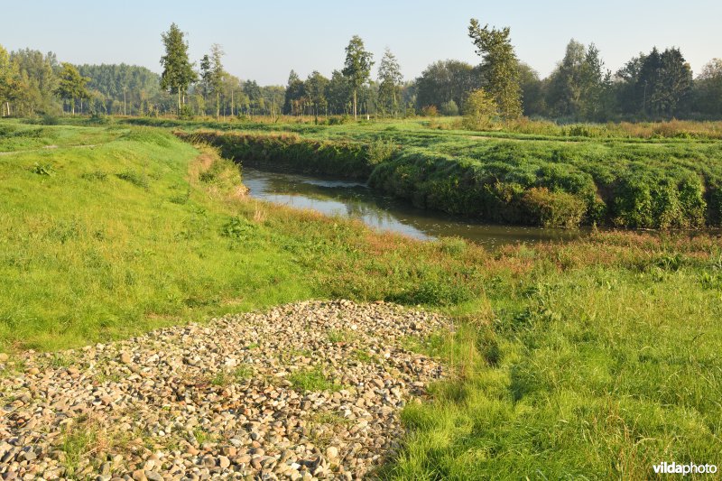 Kanohelling langs de Demer 