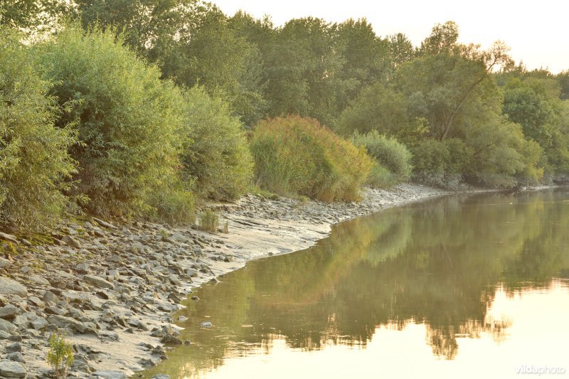 Schelde aan het Vlassenbroek