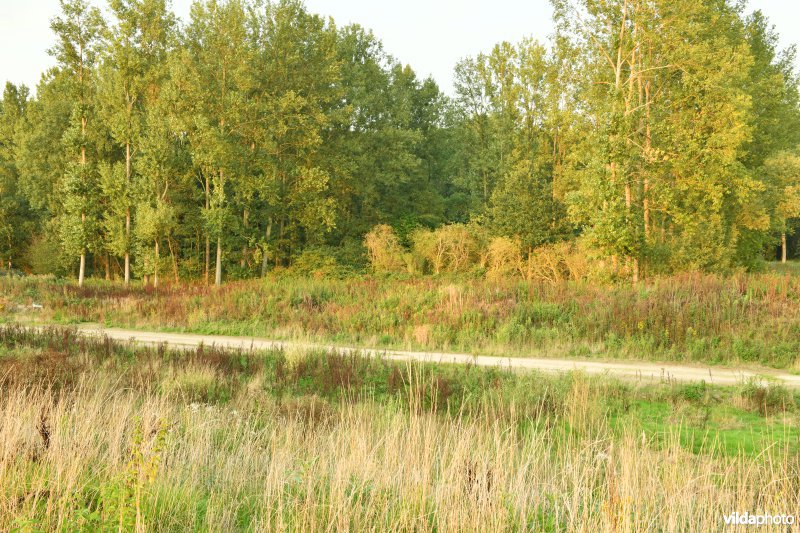 Vlassenbroekse polder