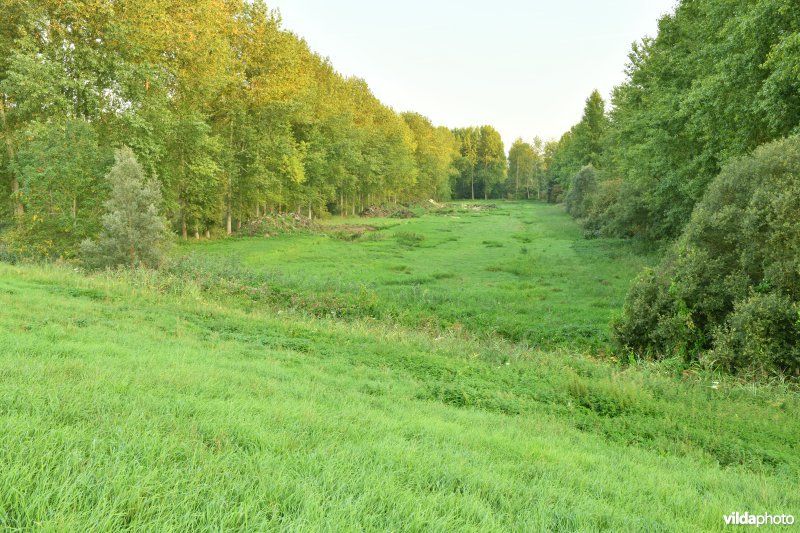 Vlassenbroekse polder 