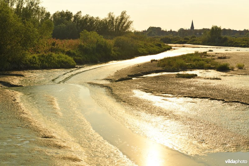 Bergenmeersen