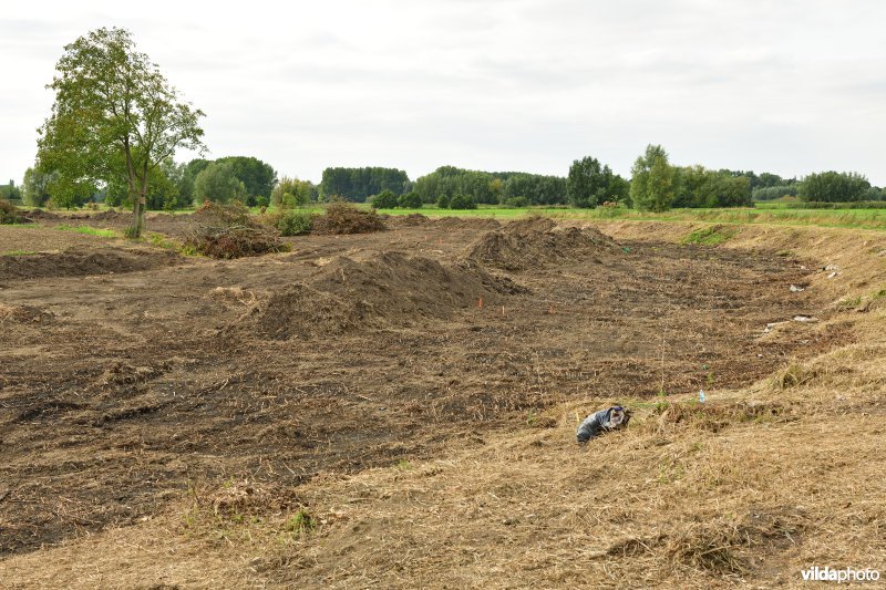Oude Schelde in de Kalkense meersen