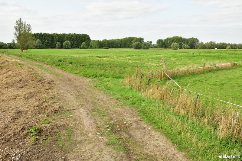 Kalkense Meersen: zicht aan de Oude Schelde