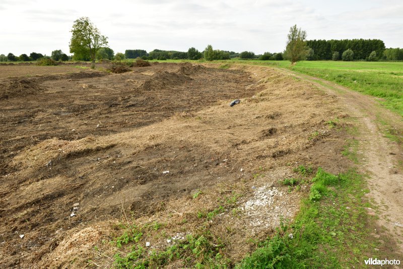 Oude Schelde in de Kalkense meersen