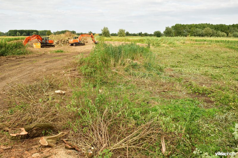 Oude Schelde in de Kalkense meersen