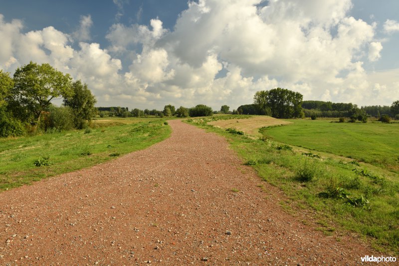 Wijmeers in de Kalkense meersen