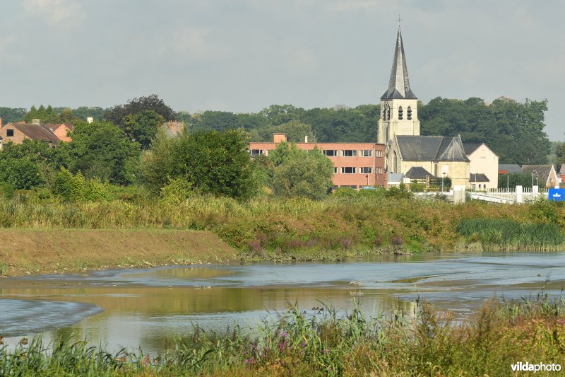 Wijmeers in de Kalkense meersen