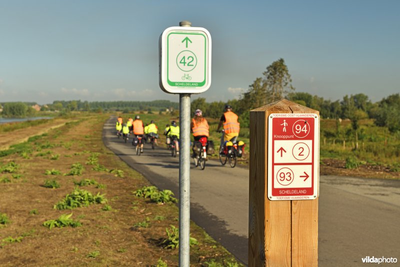 Fietsers langs de Schelde in Wijmeers