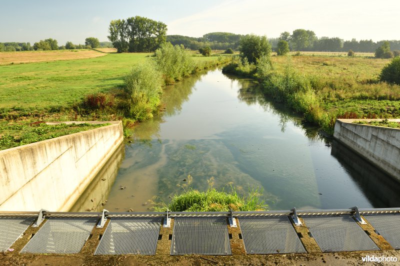 Wijmeers in de Kalkense meersen