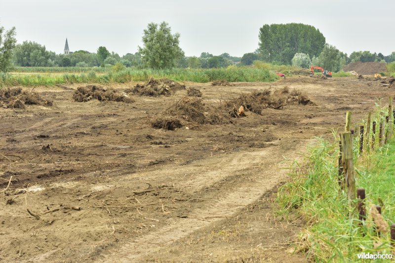 Oude Schelde in de Kalkense meersen