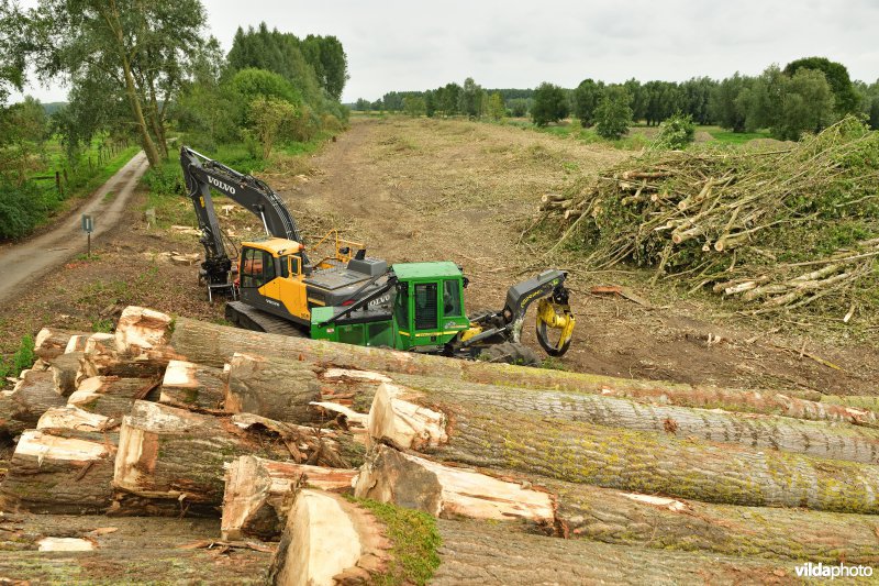 Oude Schelde in de Kalkense meersen