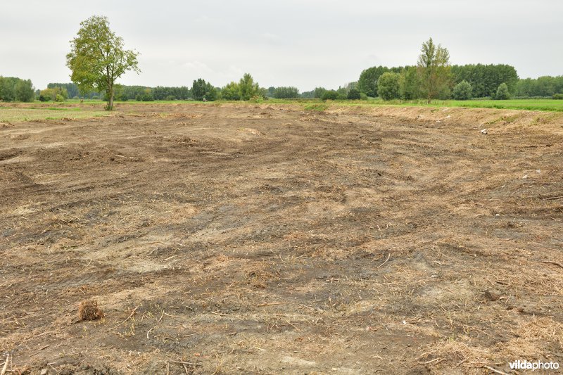 Oude Schelde in de Kalkense meersen