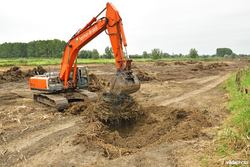 Oude Schelde in de Kalkense meersen