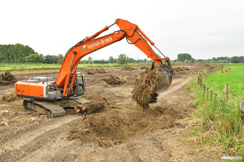 Oude Schelde in de Kalkense meersen