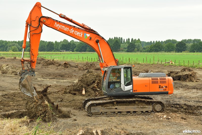 Oude Schelde in de Kalkense meersen