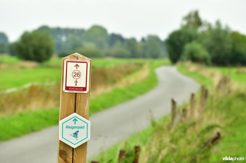 Wandelpaal in de Kalkense meersen