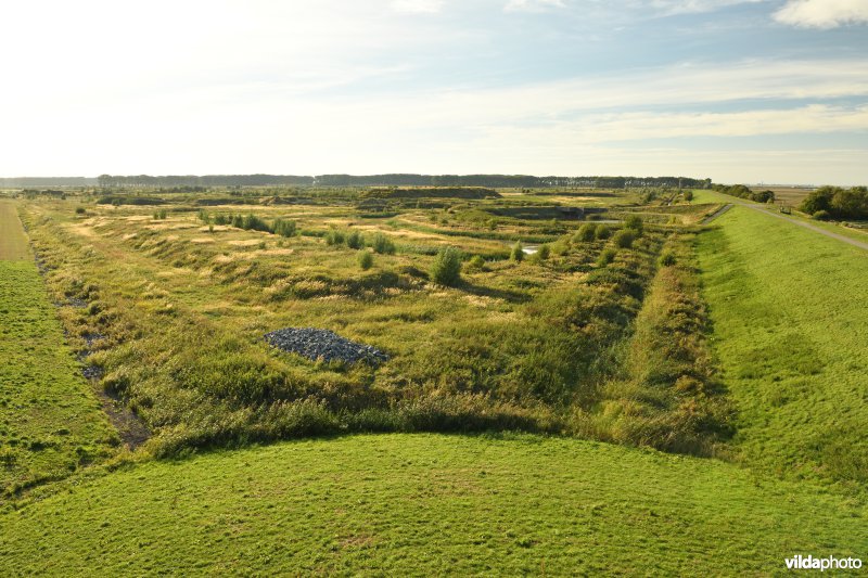 Hedwige- en Prosperpolder