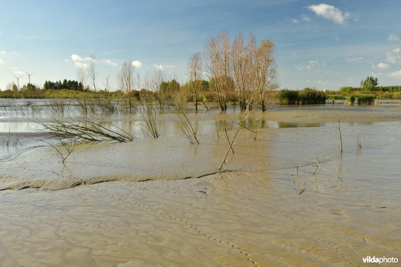 Fasseitpolder