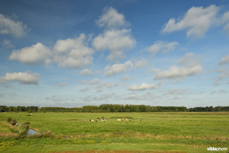 KBR polder