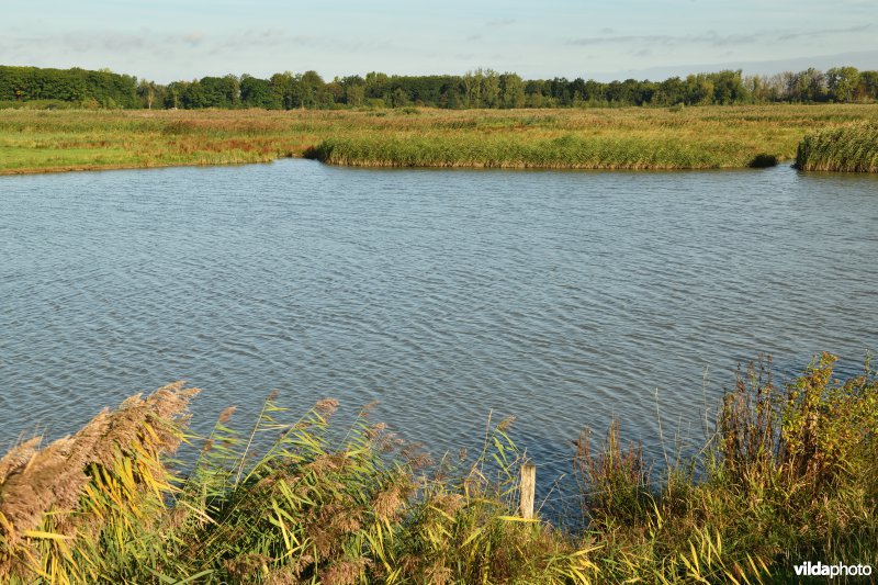 KBR polder: sluis zicht D