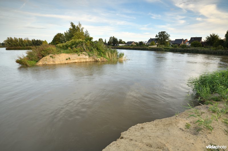 Wijmeers in de Kalkense meersen