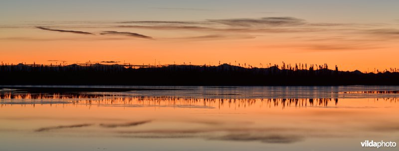 Meer in Alaska bij valavond
