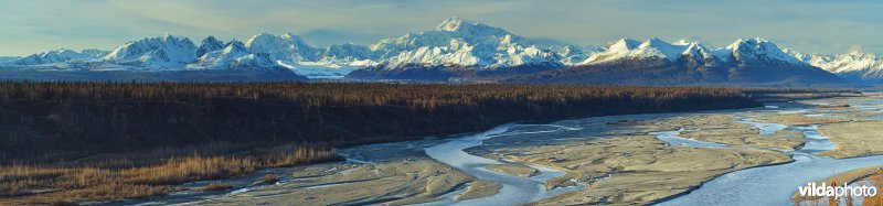 Denali nationaal park