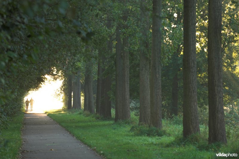 Natuurreservaat de Kevie