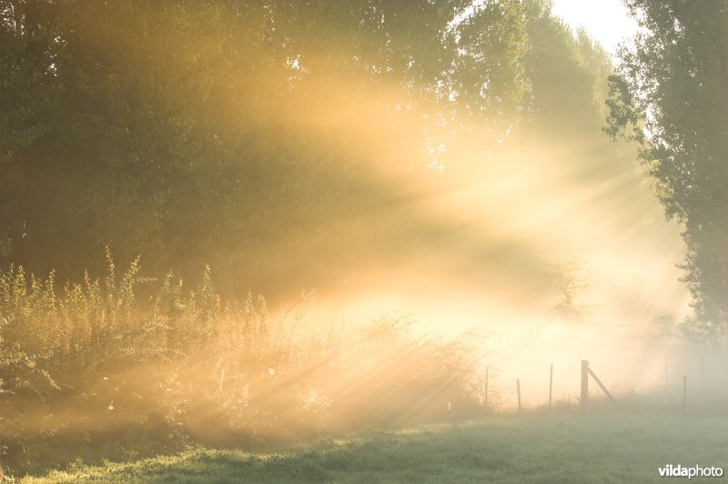 Natuurreservaat de Kevie
