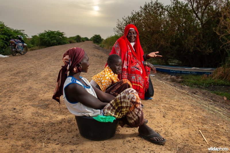 Vrouwen in Senegal