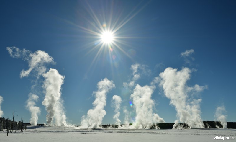 Nationaal Park Yellowstone