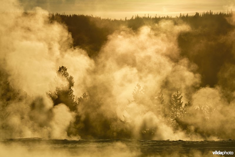 Nationaal Park Yellowstone