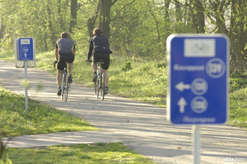 Fietsknooppunt in Zammelen