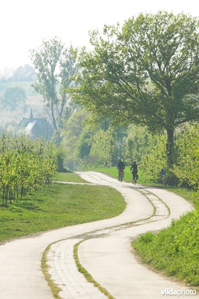 Romeinse kassei in Helshoven