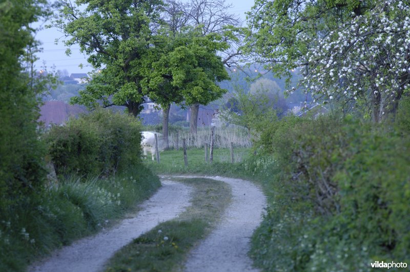 Onverharde weg te Alden-Biezen