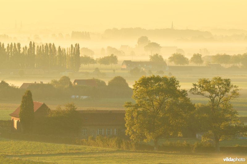Heuvelland in Dranouter