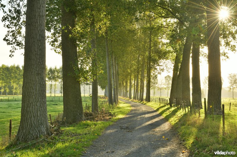 Leiemeersen aan Ooidonk