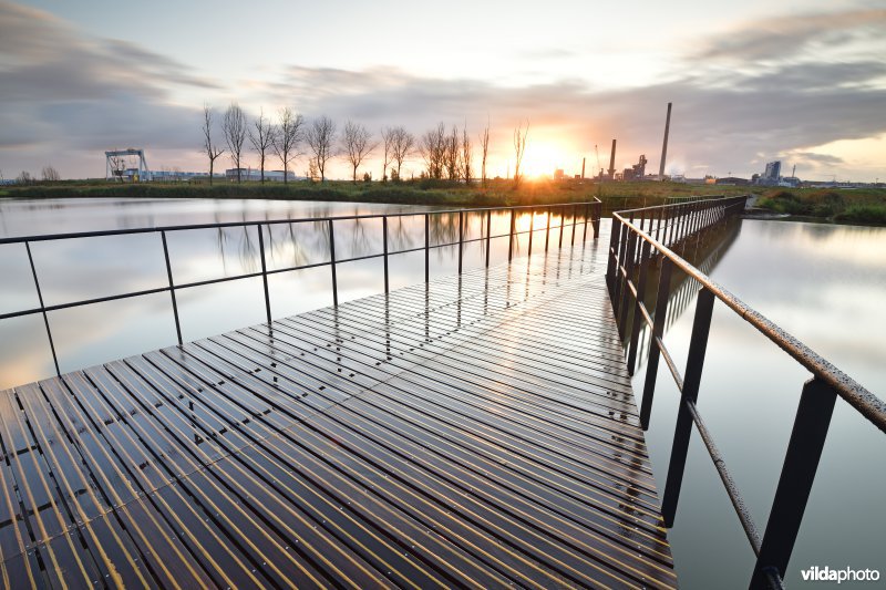 Vlonderpad in de polders van Kruibeke