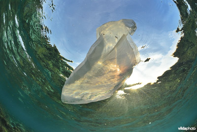 Plastic in de oceaan