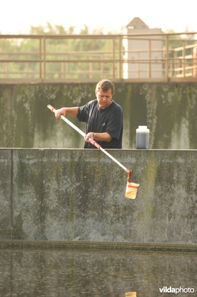 Waterstaalname in het RWZI van Ertvelde