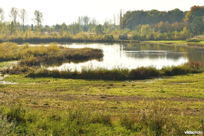 KBR polder: Schiphoekpolder