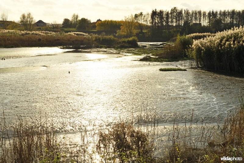 Wijmeers: zicht richting bres (R)