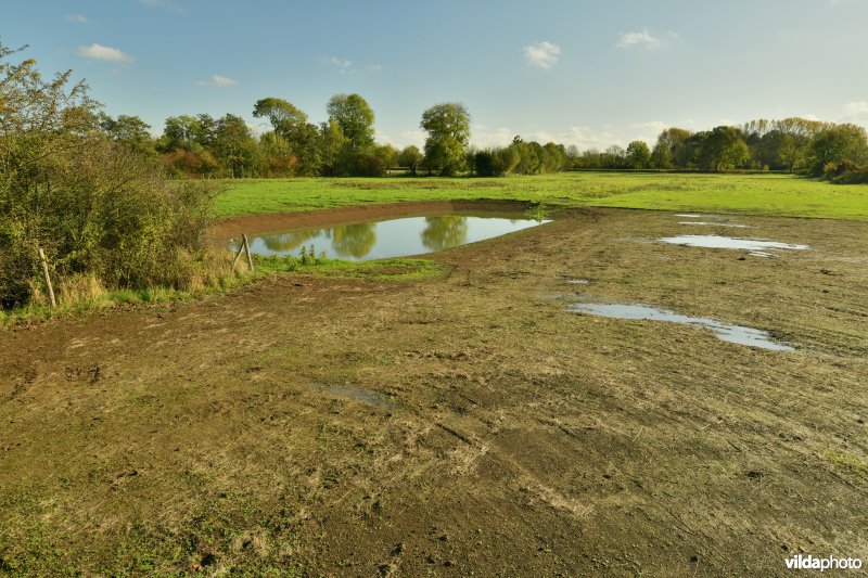 Afgravingen en poel in Dorent