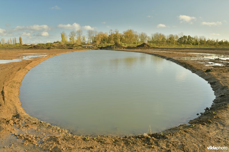 Groot Schoor in Kastel