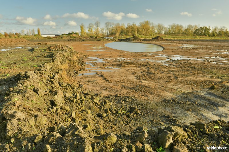 Groot Schoor in Kastel