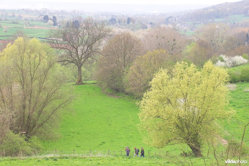 Wandelen in de Voerstreek