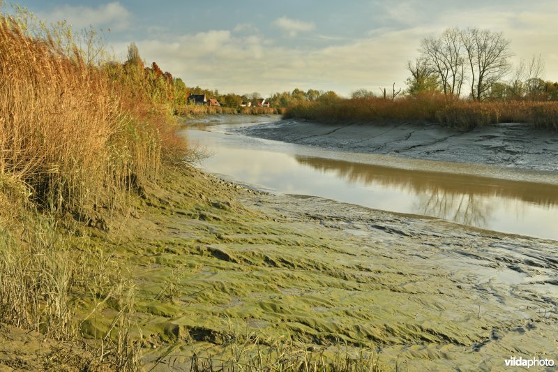 Vallei van de Durme